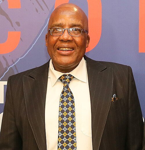 Aaron Motsoaledi